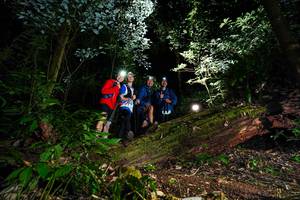 BIB: 3585, 
                            <button type="button" onclick="openModal(15973656)" class="btn btn-primary btn-sm float-right btn-popup" data-toggle="modal" data-target=".modal-high-quality">
                        <i class="fas fa-shopping-cart"></i> Add to Cart
                    </button>
                                            <button type="button" onclick="isThisMe(15973656, true)" class="btn btn-success btn-sm float-right btn-popup btn-isme hidden" data-toggle="tooltip" data-placement="bottom" title="นี่คือรูปของคุณใช่ไหม คลิกที่นี่เพื่อเอาเข้าอัลบั้ม">
                        <i class="fas fa-plus"></i> Add to album
                    </button>
                    <button type="button" onclick="isThisMe(15973656, false)" class="btn btn-warning btn-sm float-right btn-popup btn-isnotme hidden">
                        <i class="fas fa-ban"></i> Remove from album
                    </button>